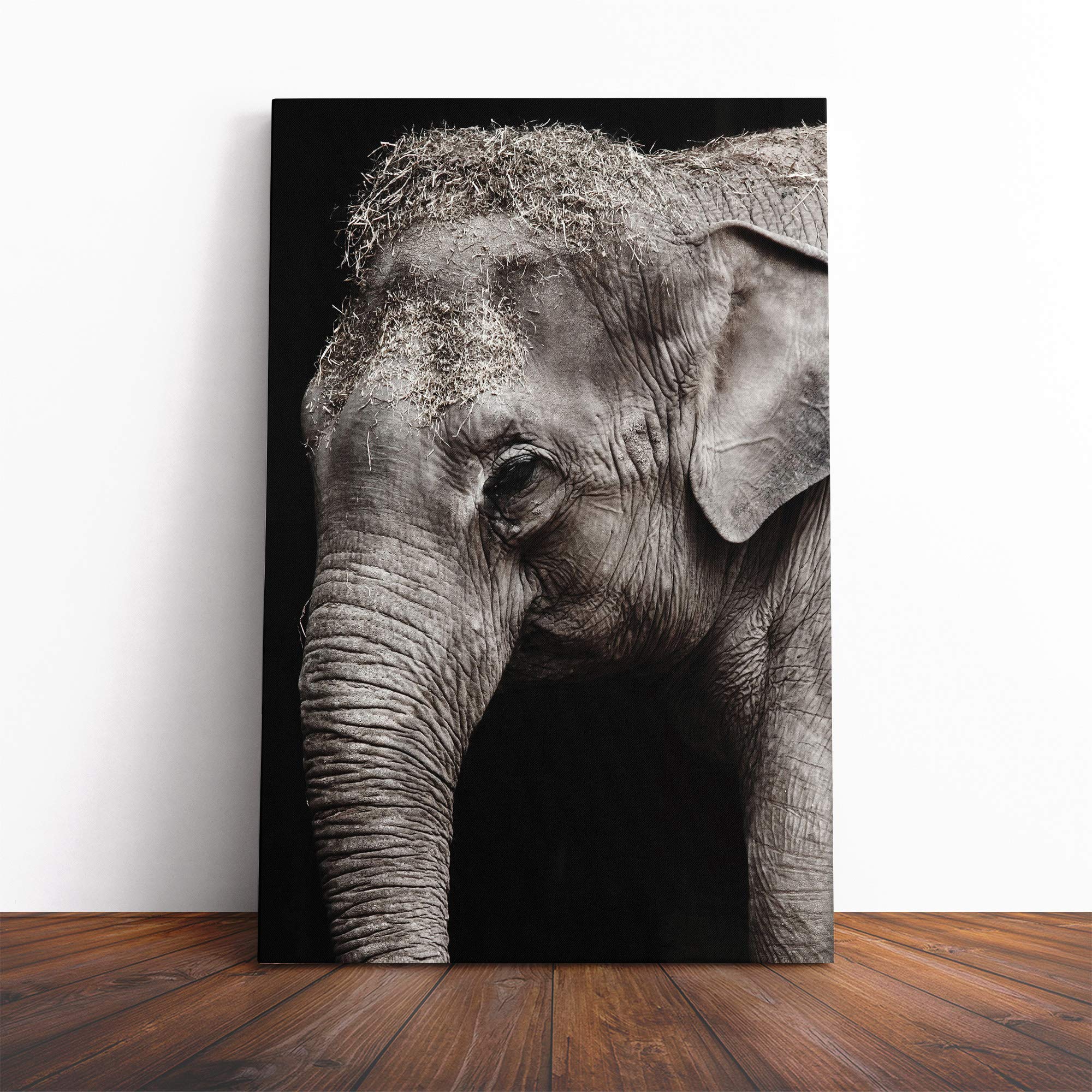 Elephant (5) Canvas Print | Gallery Wrapped 30mm Frame Wall Art | 30x20 inches | Ready to Hang | Modern Animals Picture | Living Room Bedroom Lounge Office