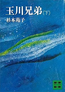 玉川兄弟（下） (講談社文庫)