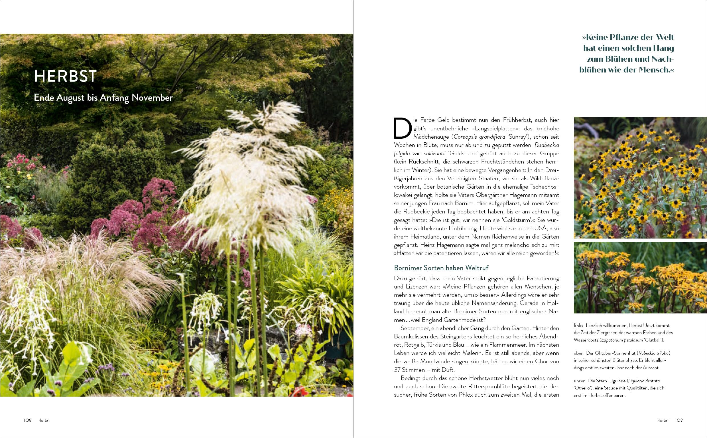 Der Garten meines Vaters Karl Foerster: Bornimer Gartentagebuch in sieben Jahreszeiten - Vollständig aktualisierte, erweiterte und neu fotografierte Ausgabe