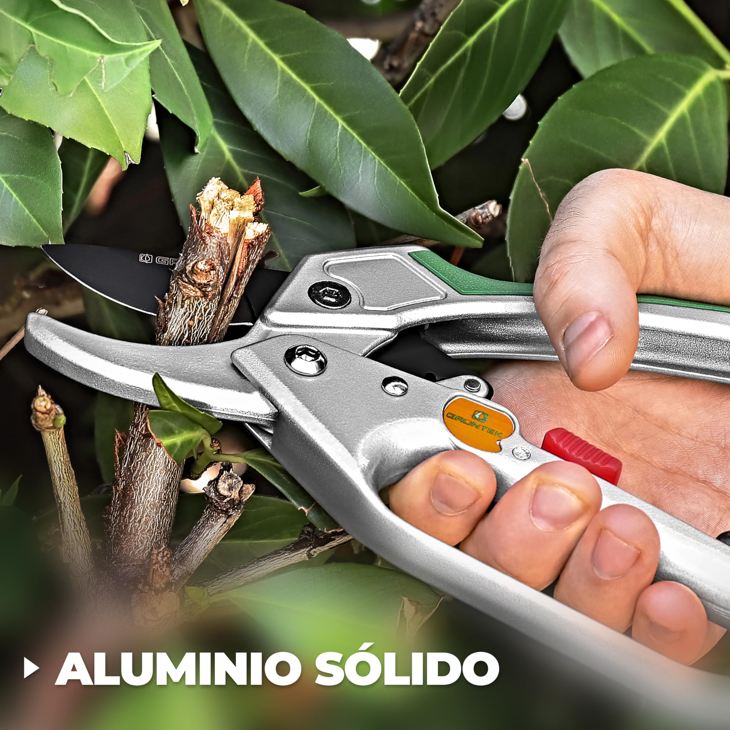 GRÜNTEK Tijeras de Podar Jardín Profesional Cóndor 20cm con Trinquete, Tijera de Yunque Recolectora, Cortarramas con Hoja de Acero Antiadherente y Mangos de Aluminio
