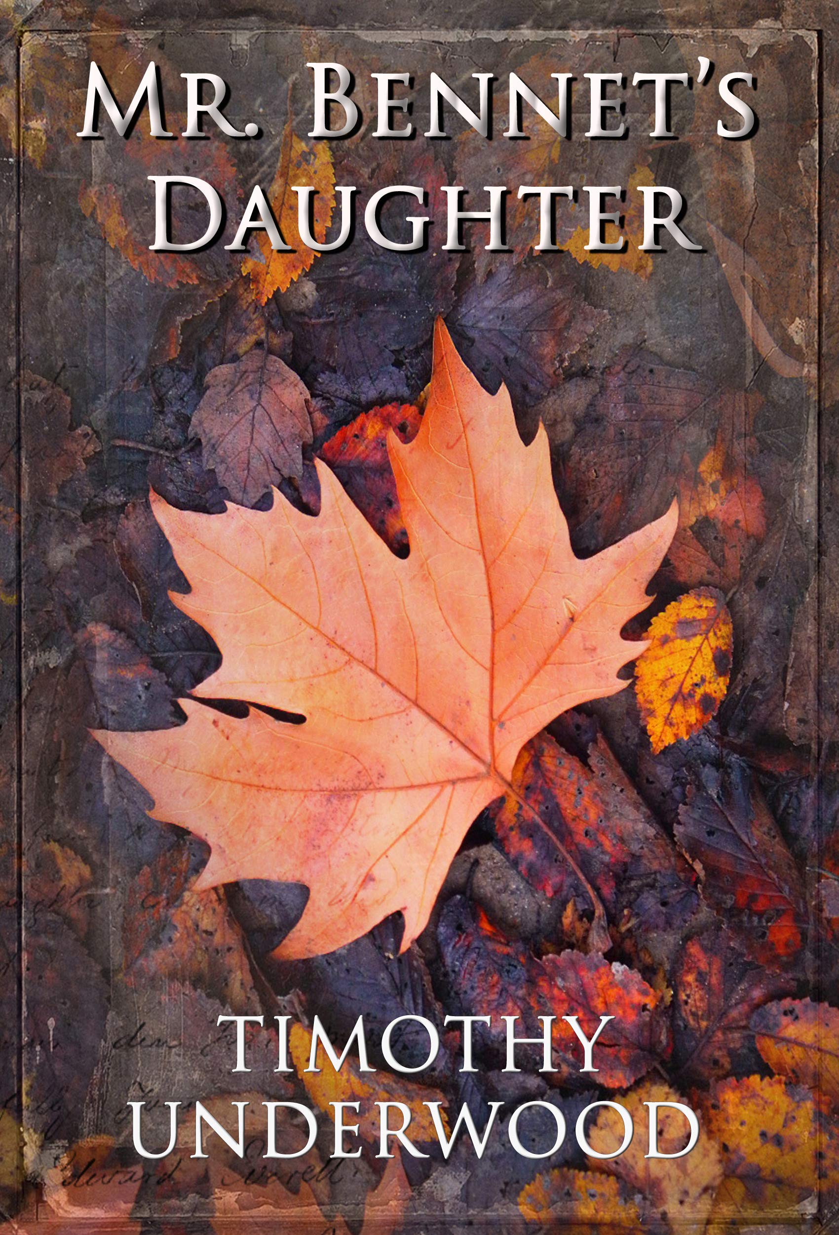 Buy Mr. Daughter An Elizabeth and Darcy Story Online at