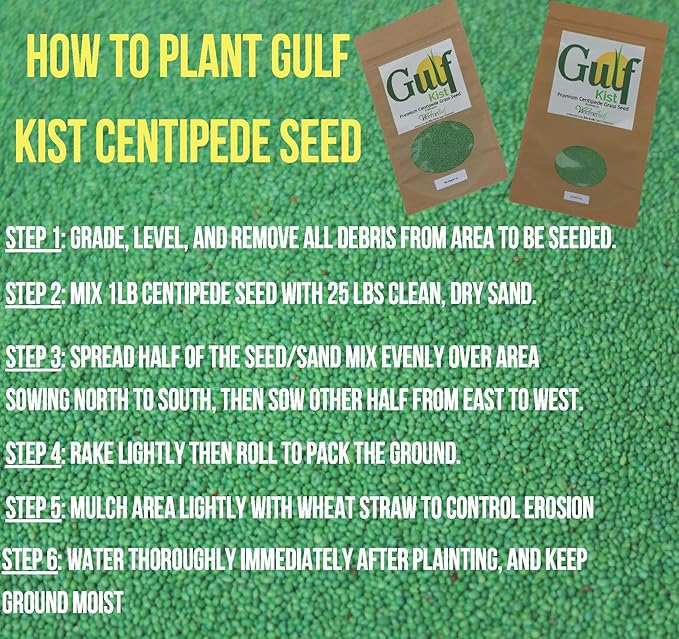Centipede grass seed is a popular choice for those looking to establish a dense, green lawn without the need for mulch. This particular variety comes in 1 lb coated seeds, making it easier to spread evenly across your lawn for optimal coverage. It thrives in the sun and is tolerant of moderate shade, making it a versatile option for a variety of lawn environments.