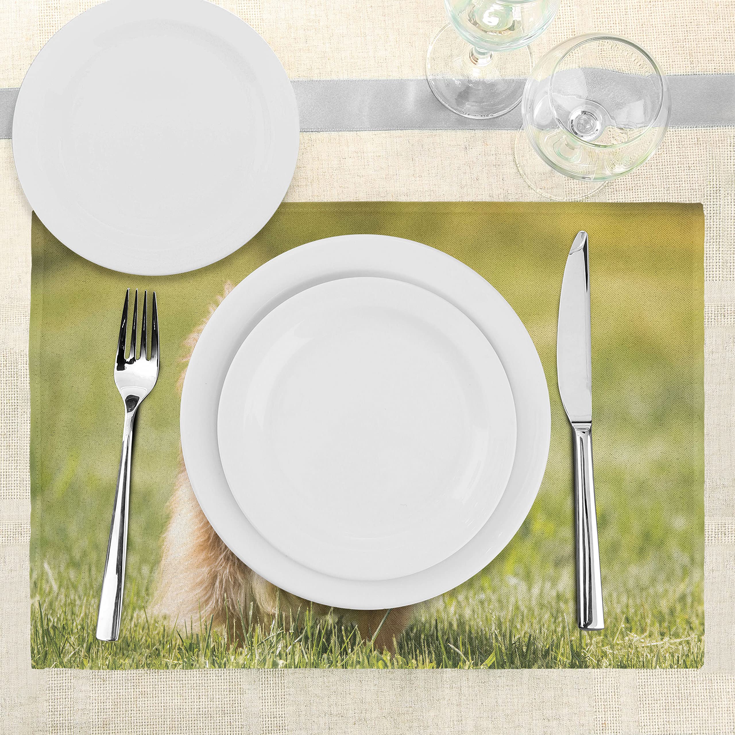 ABAKUHAUS Minou Lot de Sets de Table en 4 pièces, Animaux tête de Pose sur Les Pattes, Tissu Lavable pour Salle à Manger et Cuisine, 30 cm x 45 cm, Gris Clair ABAKUHAUS Minou Lot de Sets de Table en 4 pièces, Animaux tête de Pose sur Les Pattes, Tissu Lavable pour Salle à Manger et Cuisine, 30 cm x 45 cm, Gris Clair