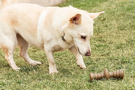 Germanhart Brinquedo Mordedor para Cães em Fibra de Coco Sustentável Tamanho M com Aroma de Churrasco
