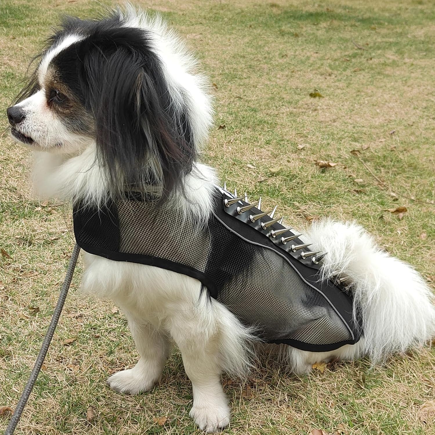 Spike Mesh Dog Harness - Reflective Summer Jacket, Waterproof Coat, Cool Protection for Small to Large Dogs - Black Medium