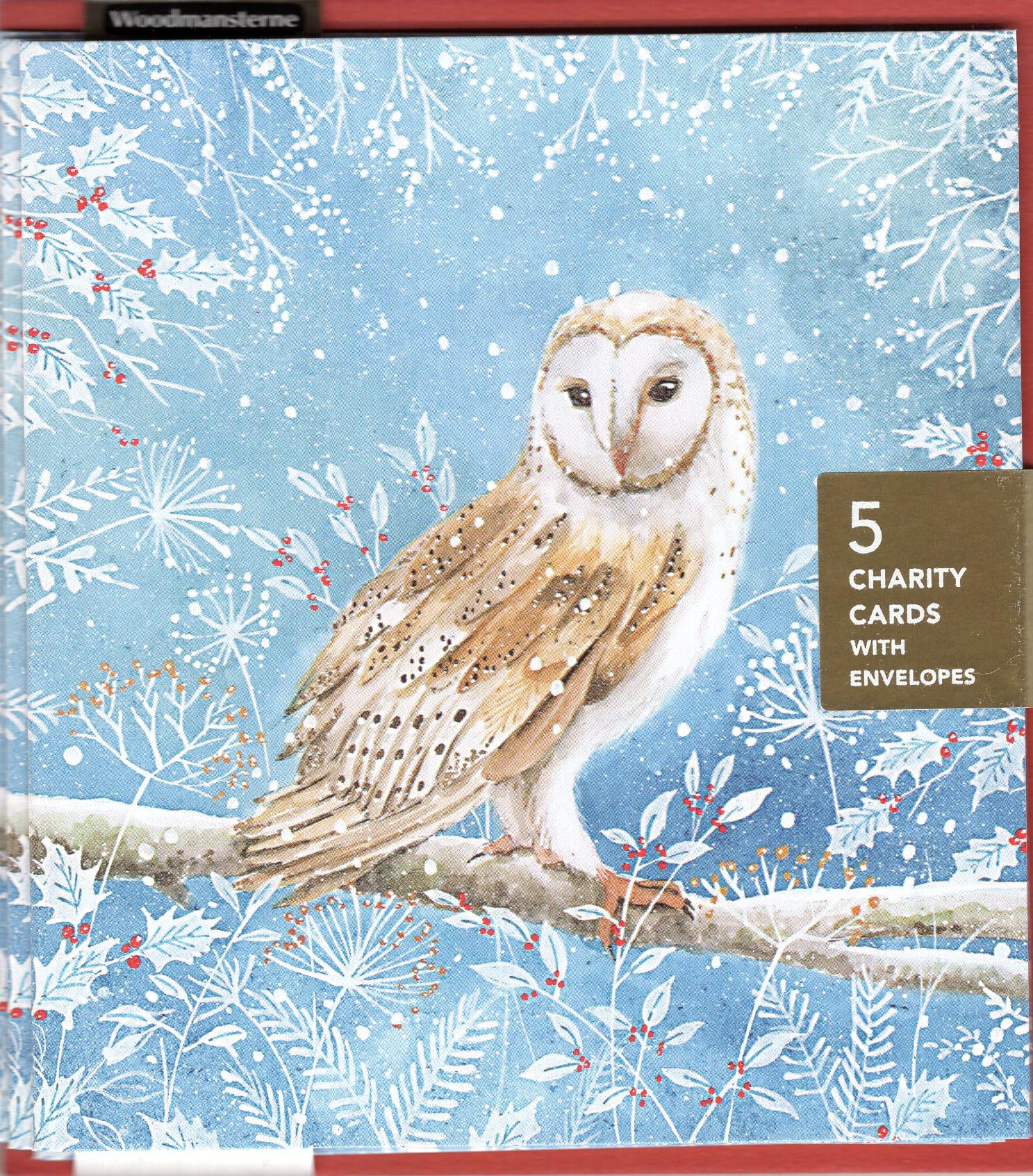 Charity Christmas Cards Pack of 5, Age UK, Marie Curie, BHF, Mind, Artistic Festive Design, Owl on Snowy Branch - Image 2