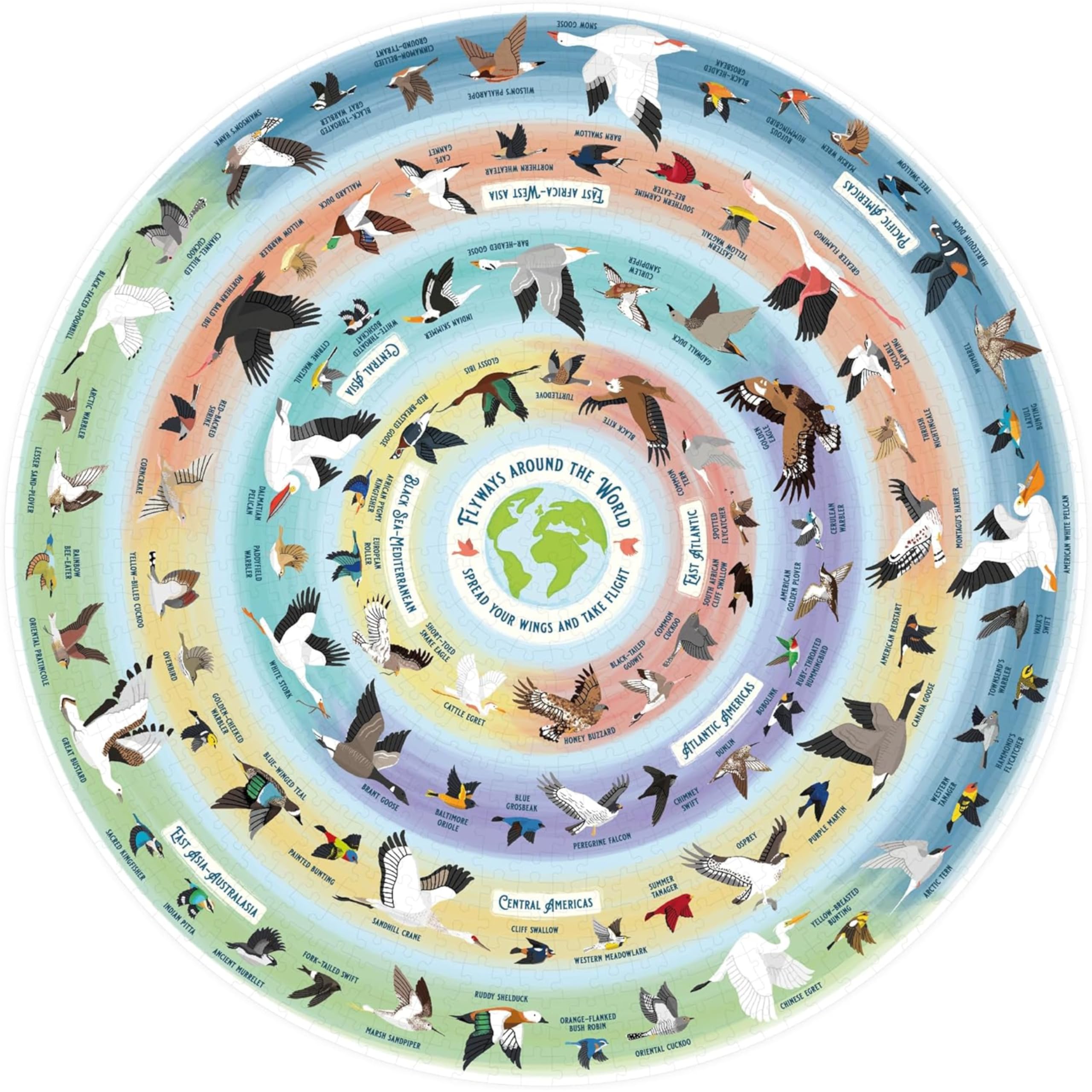 Amazon.com: Ridley's Bird Lover's 1000-piece Round Jigsaw Puzzle