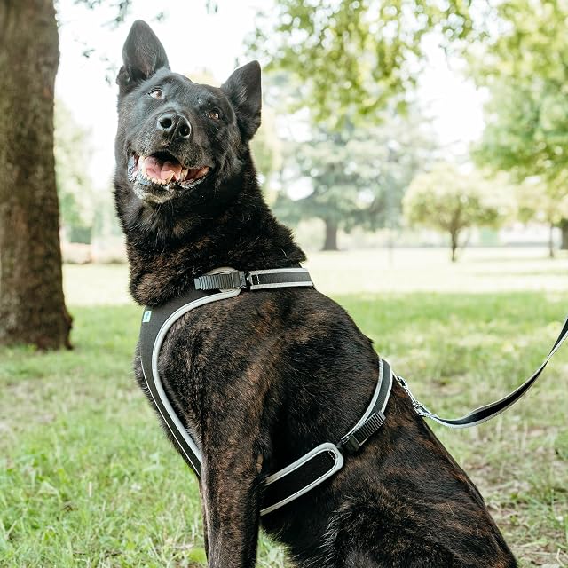 Foto 2 de 6 de Ferplast Arnés para Perros Grandes ERGOCOMFORT, Ajustable, cómodo, Acolchado, de fácil colocación y extracción