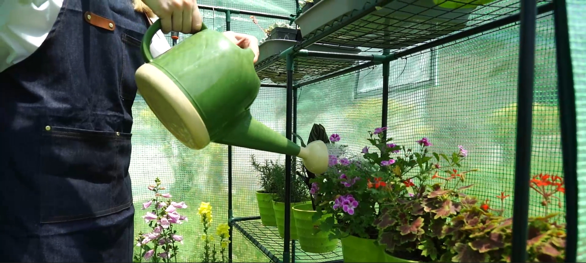 Amazon.co.jp: ビニールハウス ビニール温室 植物の温室 6段 園芸