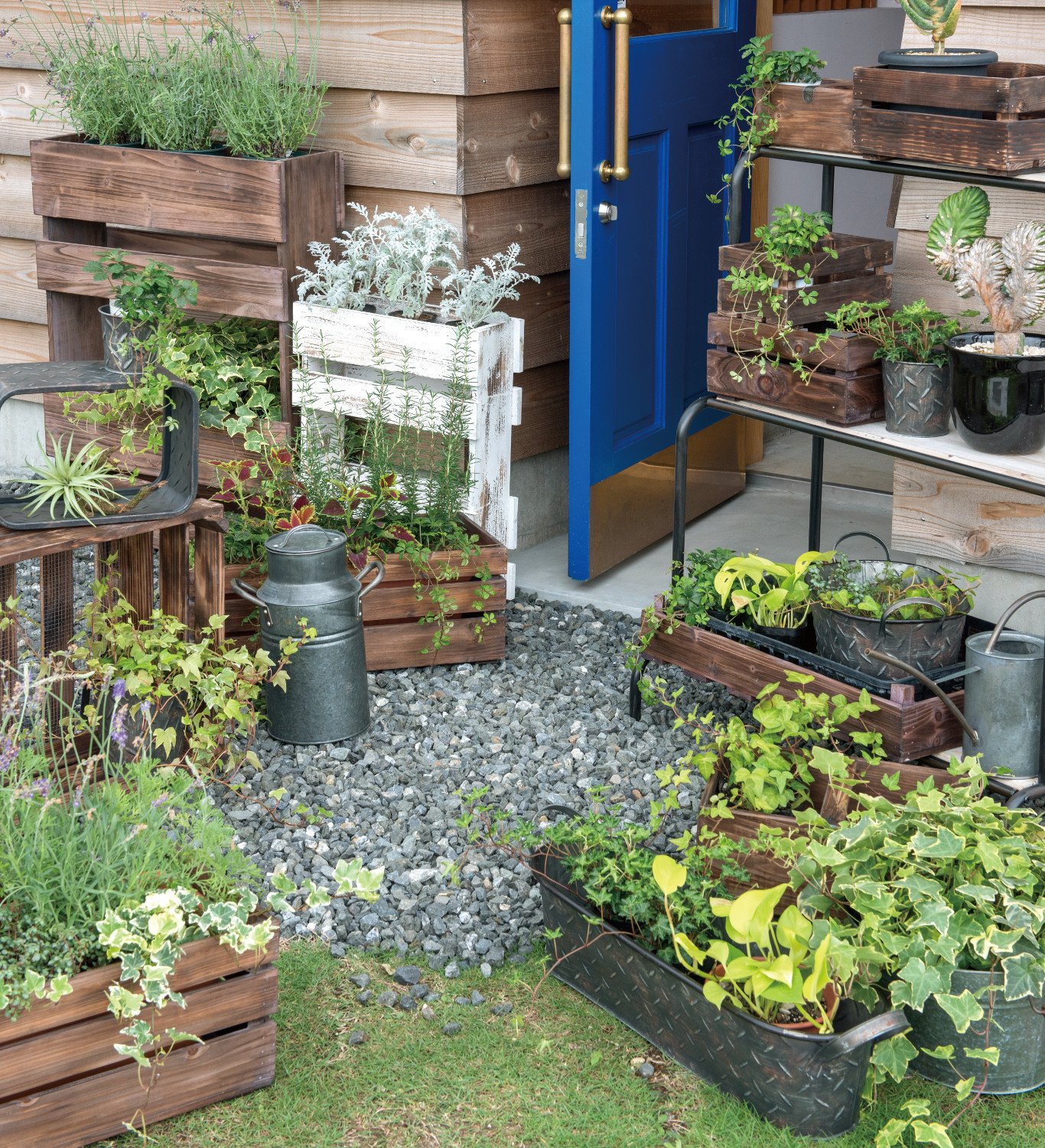 Amazon｜PL ウッドボックス IDYLLIC GARDEN メッシュハーベスト