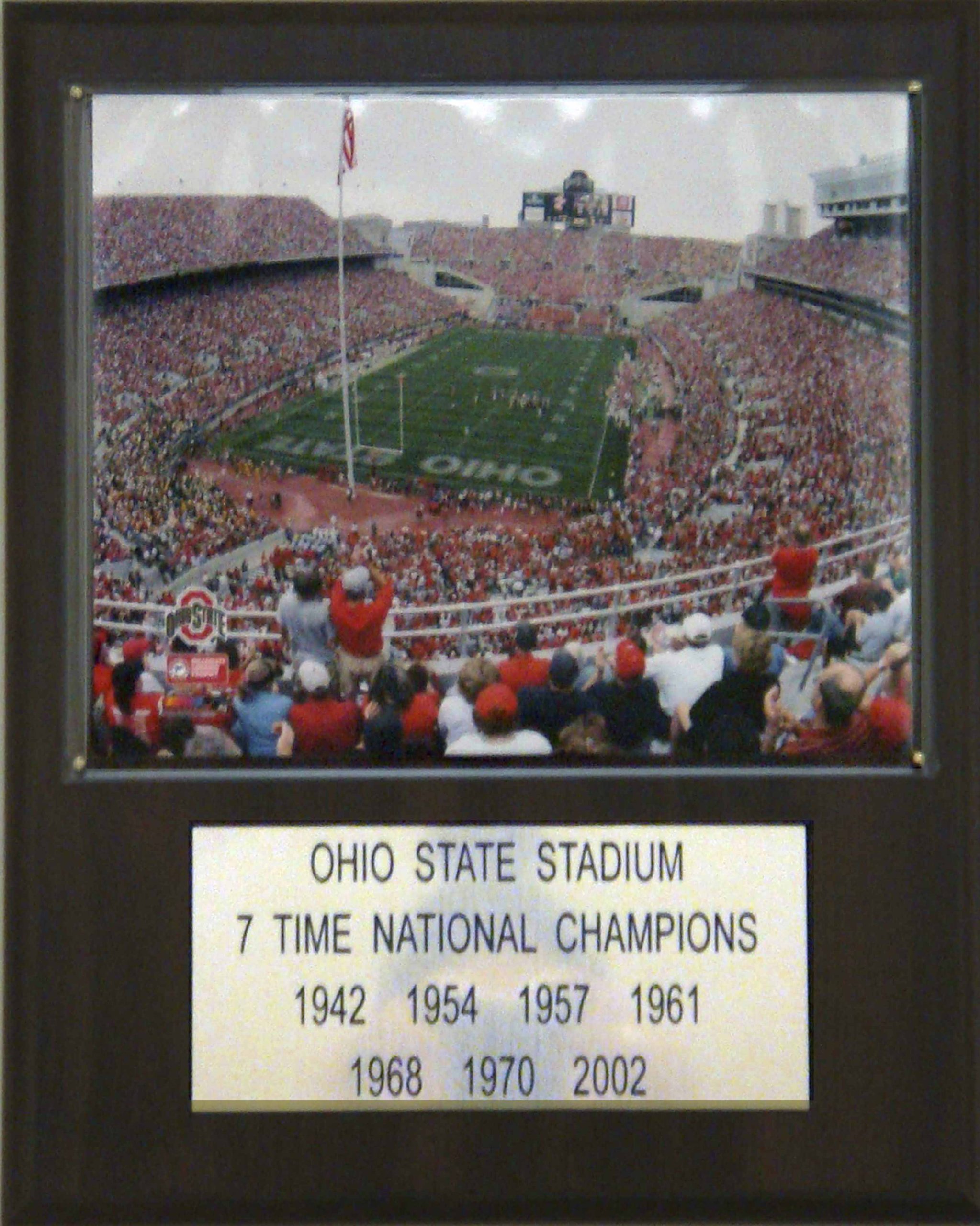 NCAA Football Ohio Stadium Stadium Player Plaque