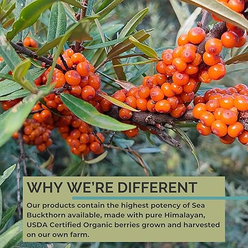 Miniatura 5 de SeabuckWonders Omega-7 completo, fabricado con aceite de espino amarillo orgánico, 30 cápsulas blandas (500 mg cada uno)