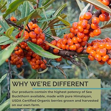 SEABUCKWONDERS Organic Sea Buckthorn Oil Omega-7 Complete, 120 Softgels | 60 Day Supply, with Omega 3, 6 & 9, Supports Hair, Skin & Nails, 100% Pure with Zero Filler Oil