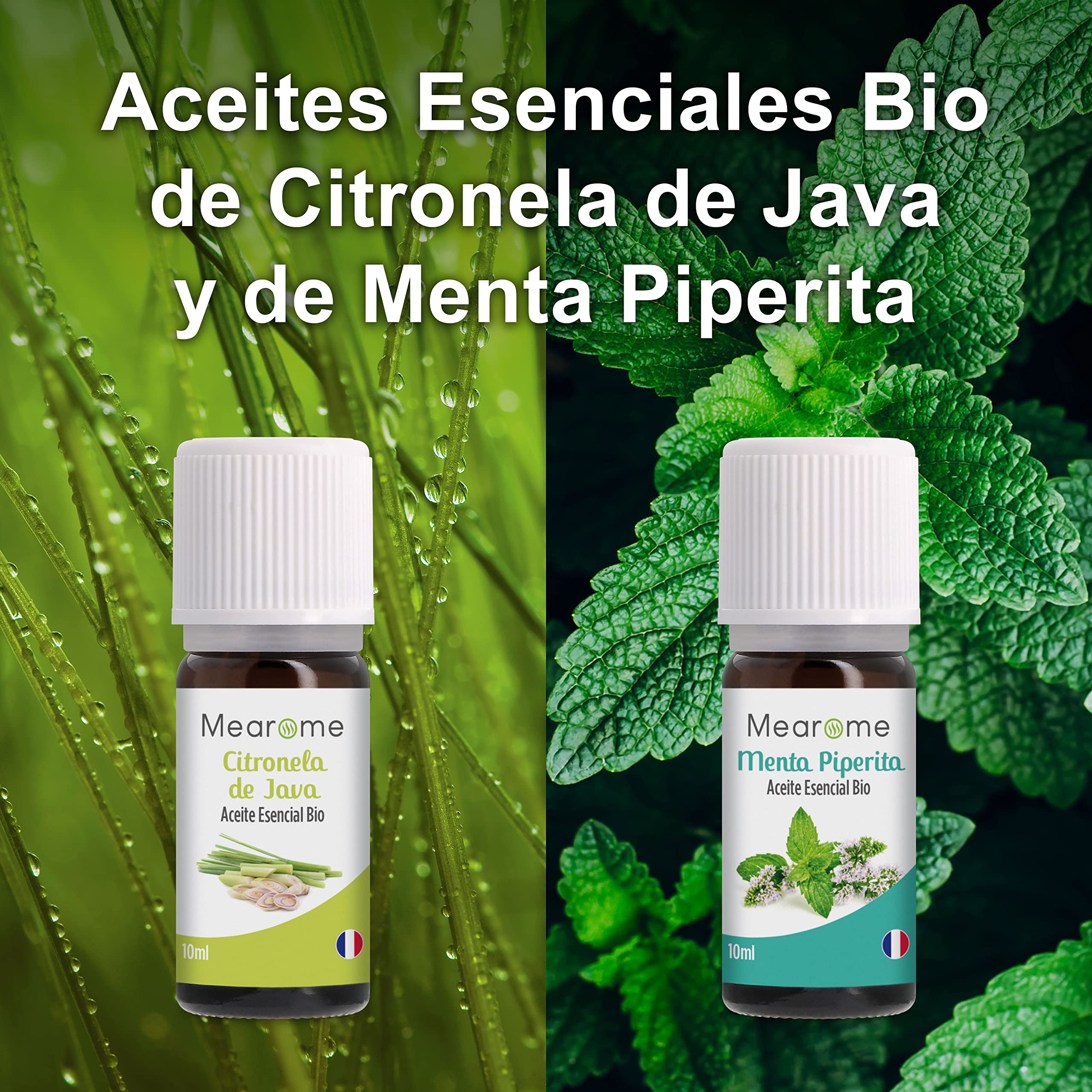 Set de Aceites Esenciales 100% Naturales Bio | Para Humificador Difusor, Aromaterapia | Menta, Eucalipto, Cedro de Atlas, Citronela, Naranja, Limón, Lavandín, Ravintsara | Mearome Fabricado en Francia