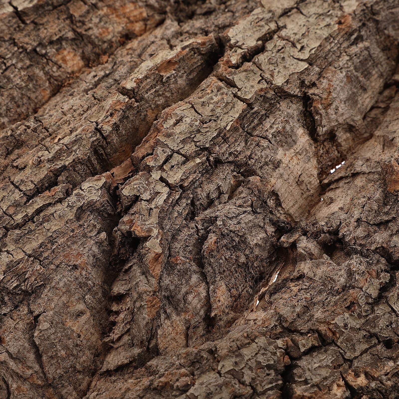 Ciieeo Pared de Corteza de Corcho Natural para Terrario de Gecko Lagarto y Serpiente Fondo Decorativo para Tanques y Plantas Fácil Instalación Duradero y Ecológico