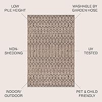 Vista 2 de JONATHAN Y Alfombra de área geométrica marroquí para interiores y exteriores 3X5 natural/negro, Ourika tejido texturizado para patio trasero, patio