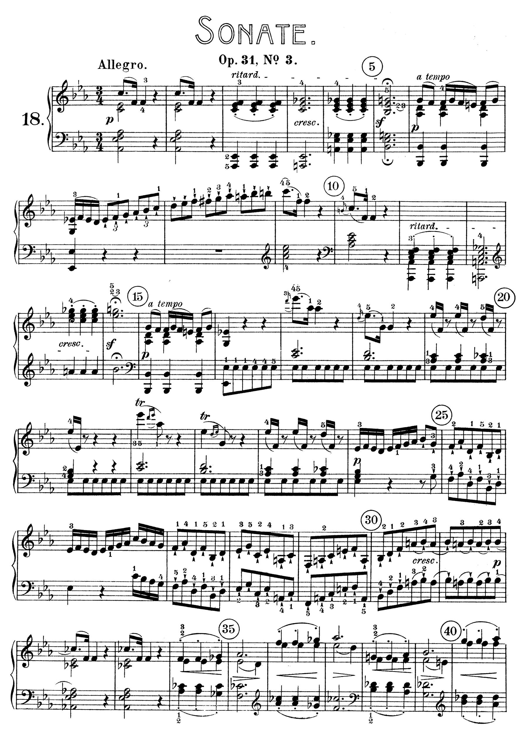 Complete Piano Sonatas, Volume II [Lingua inglese]