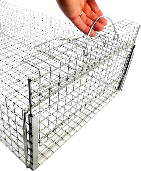 Tomahawk Model 451 Repeating Iguana Trap