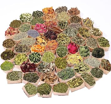 60 Pcs Labeled Dried Herbs and Flowers Kit for Witchcraft, Individually Packed Botanicals for Spell Jars, Altar Decor, Resin, Soap Making and Candle Decoration