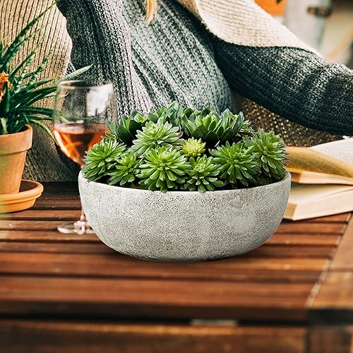 Miniatura 3 de Serene Spaces Living Echeveria - Mezcla de suculentas en tazón, perfecta para bodas y decoración del hogar, suculenta de aspecto real para