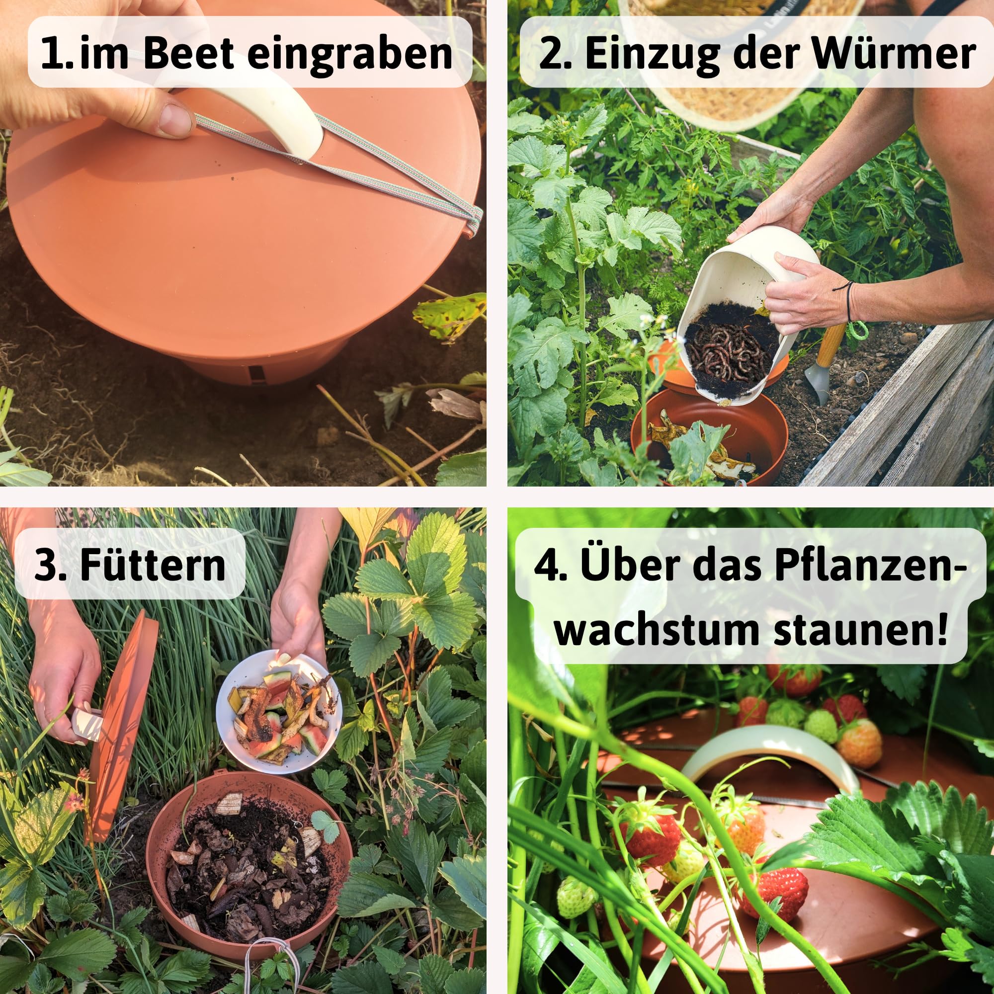 Beetkomposter Wurmvase XL - Wurm Komposter Garten zum Eingraben inkl. Wurmkiste Anleitung