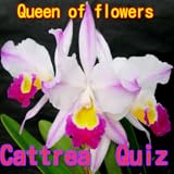 cattleya kaufen schweiz You can learn about the run that was the most highly evolved in plants through this quiz.