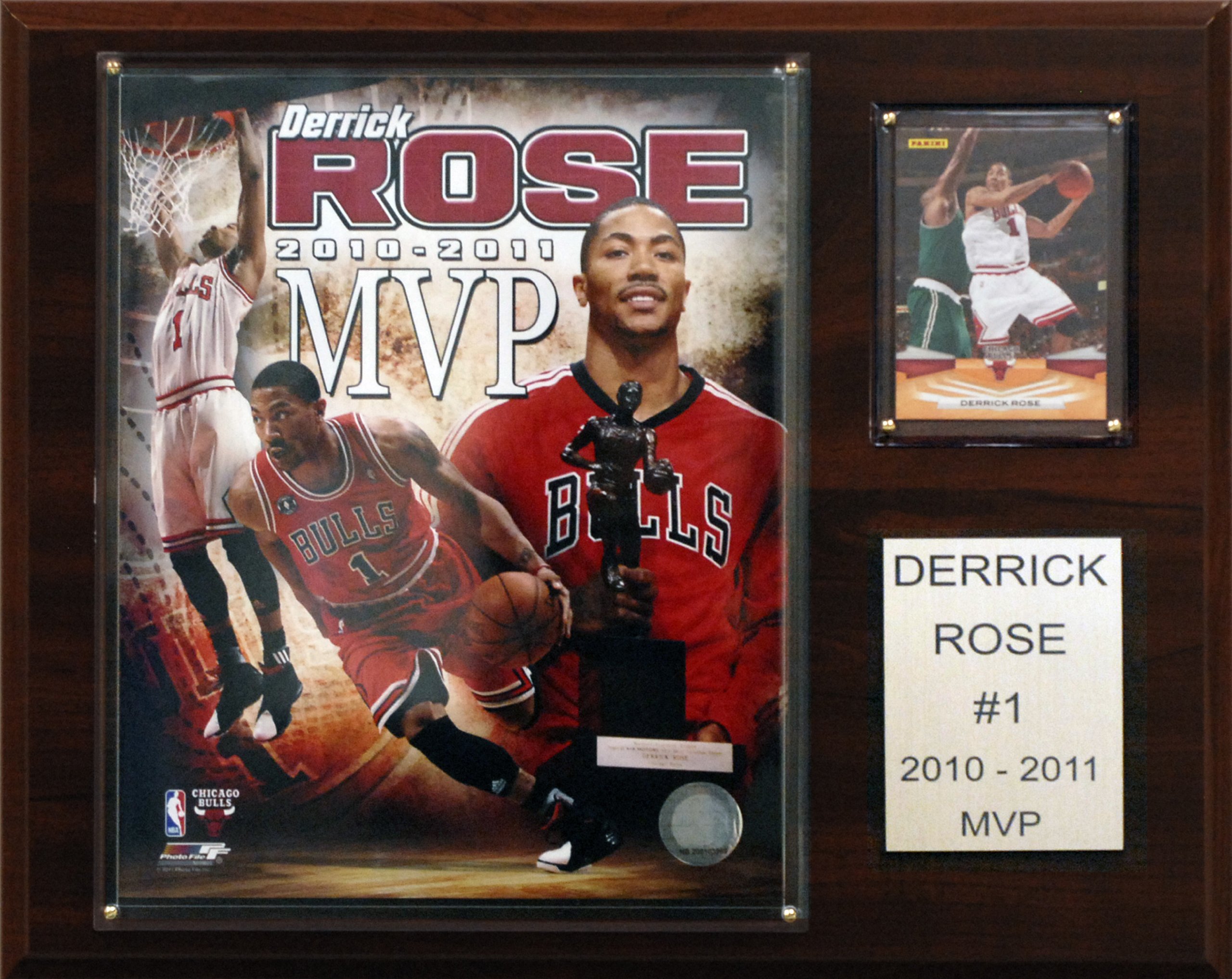derrick rose 2010