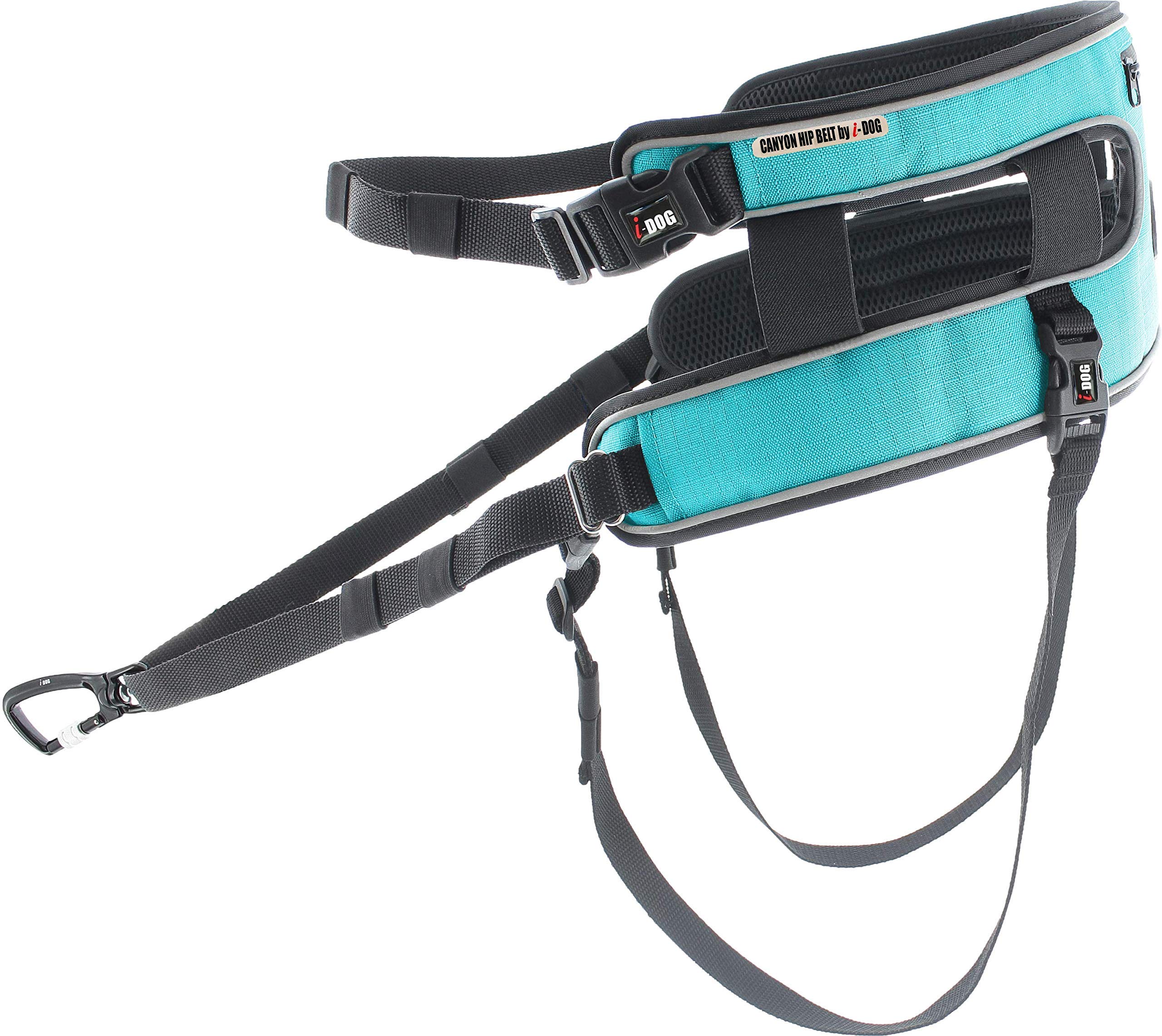 Baudrier Canyon Gamme ALM Bleu cani Cross, cani Rando, cani Jogging, cani Trail I-dog est Une Marque Française.