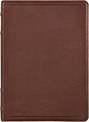 Bíblia ACF com referências cruzadas e palavras de Jesus em azul, Couro-soft mogno, Letra grande, Leitura Perfeita