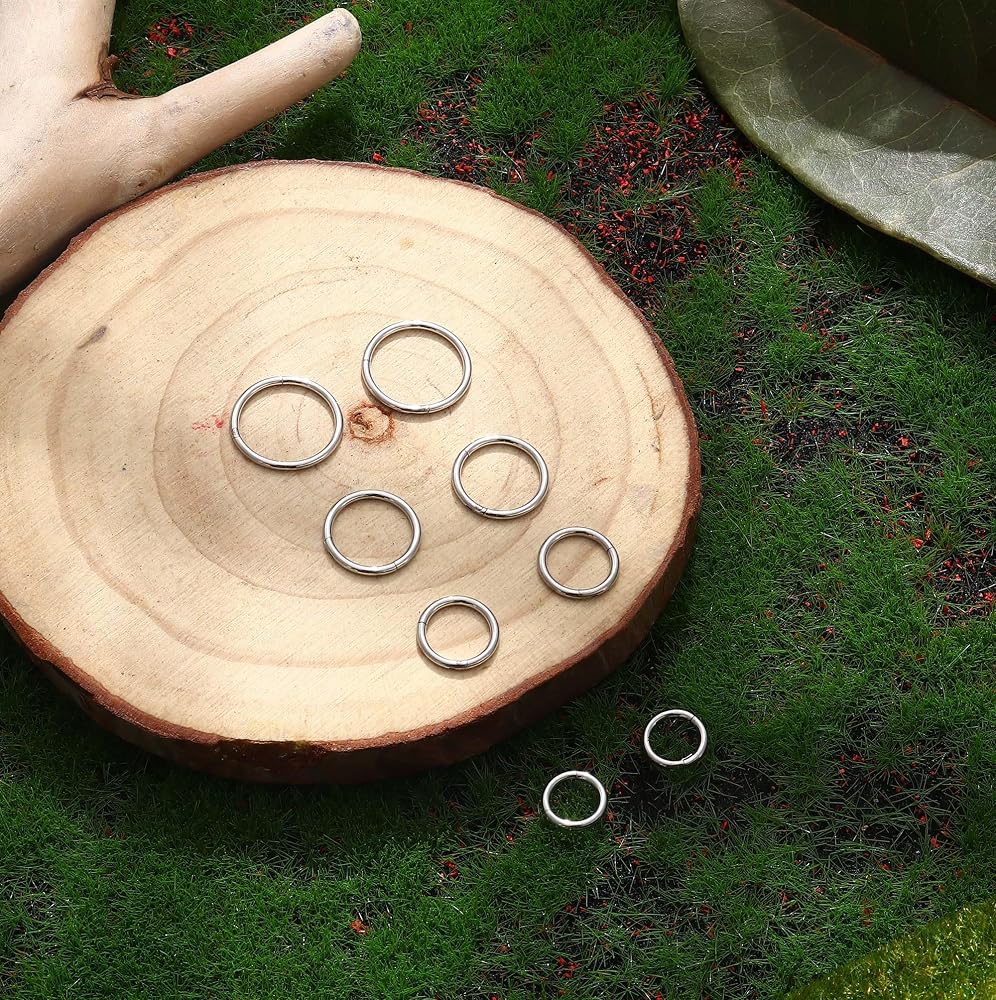 8Pcs Anneaux De Nez 16G En Acier Chirurgical - Hinged Clicker Pour Helix, Daith, Tragus - 6-12MM