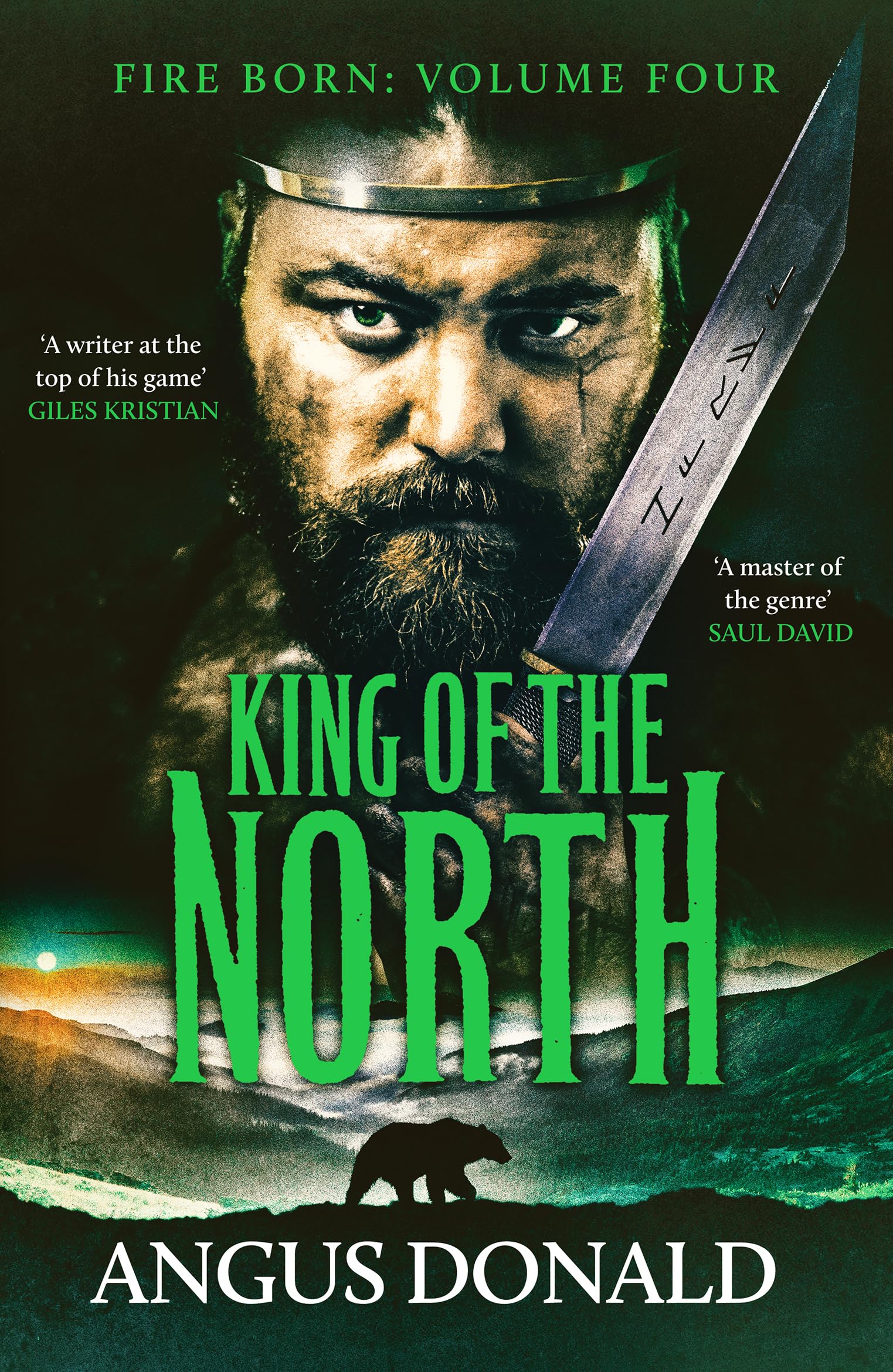 King of the North: A Viking saga of battle and glory: 4 (Fire Born, 4)