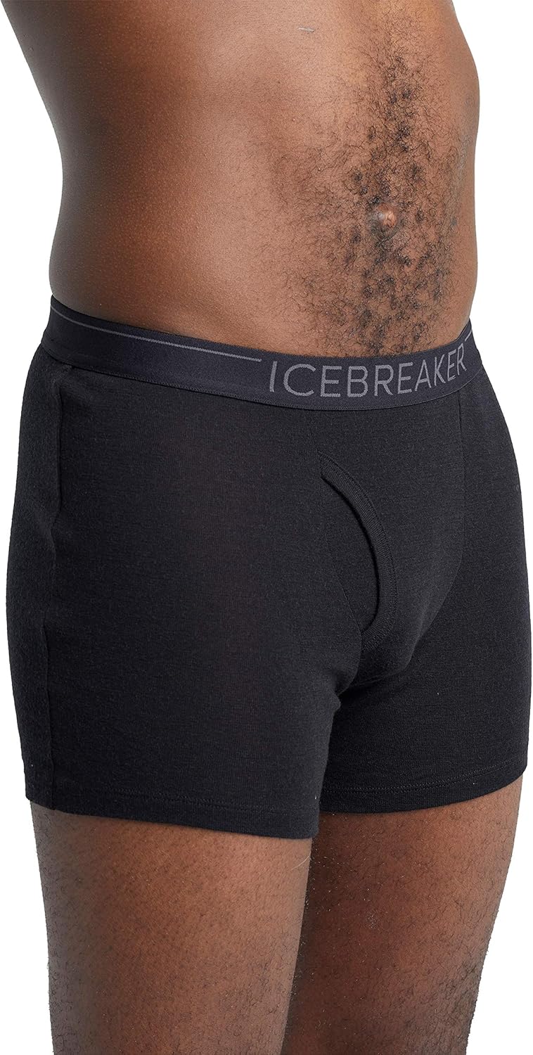icebreaker Men's Standard 175 Everyday Wool Boxer Underwear - Image 6