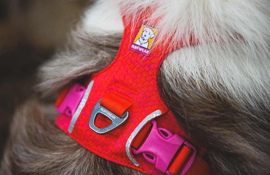 Amazon.com : Ruffwear, Front Range Flex Dog Harness, Engineered