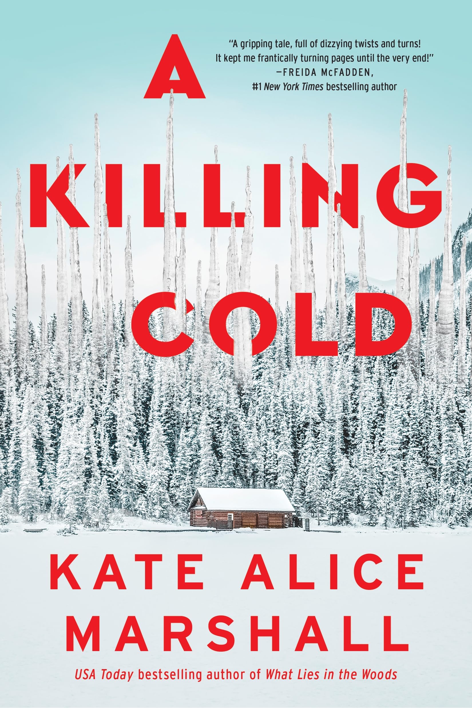 A Killing Cold: A Novel