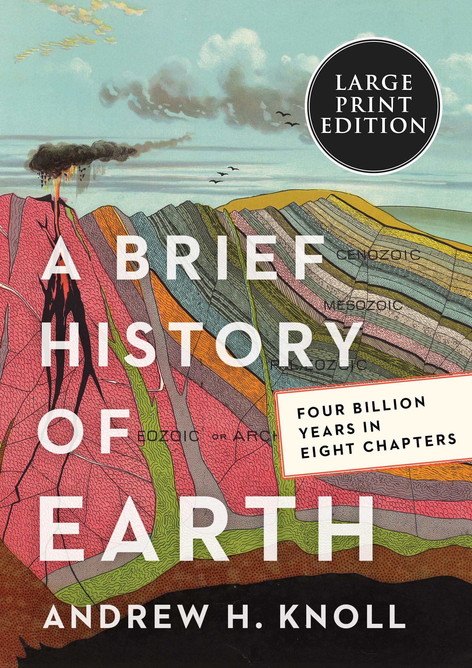 A Brief History of Earth: Four Billion Years in Eight Chapters
