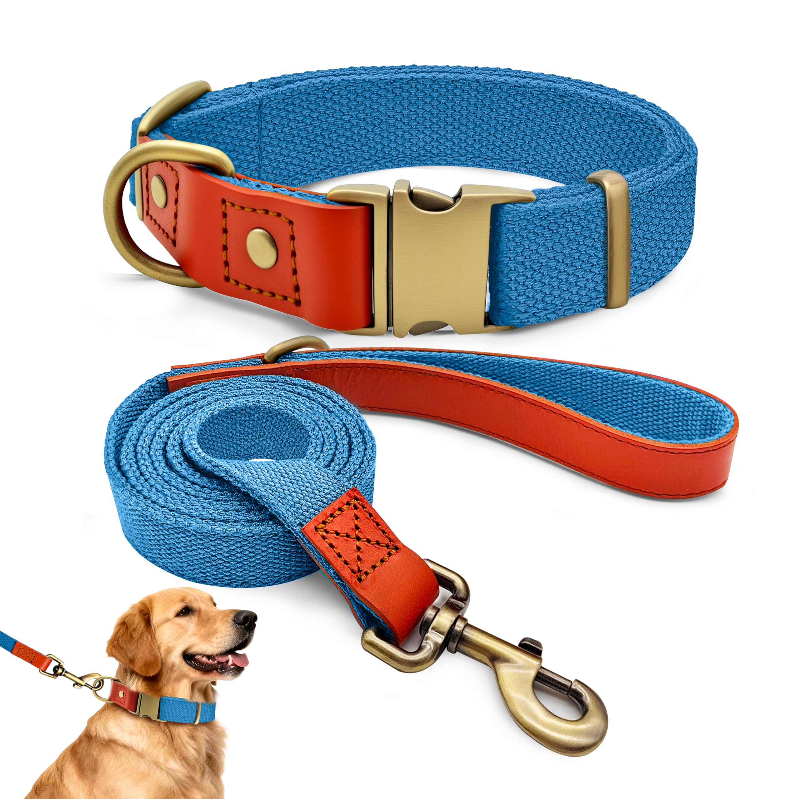 Ensemble collier et laisse pour chien bleu ciel réglable toutes tailles