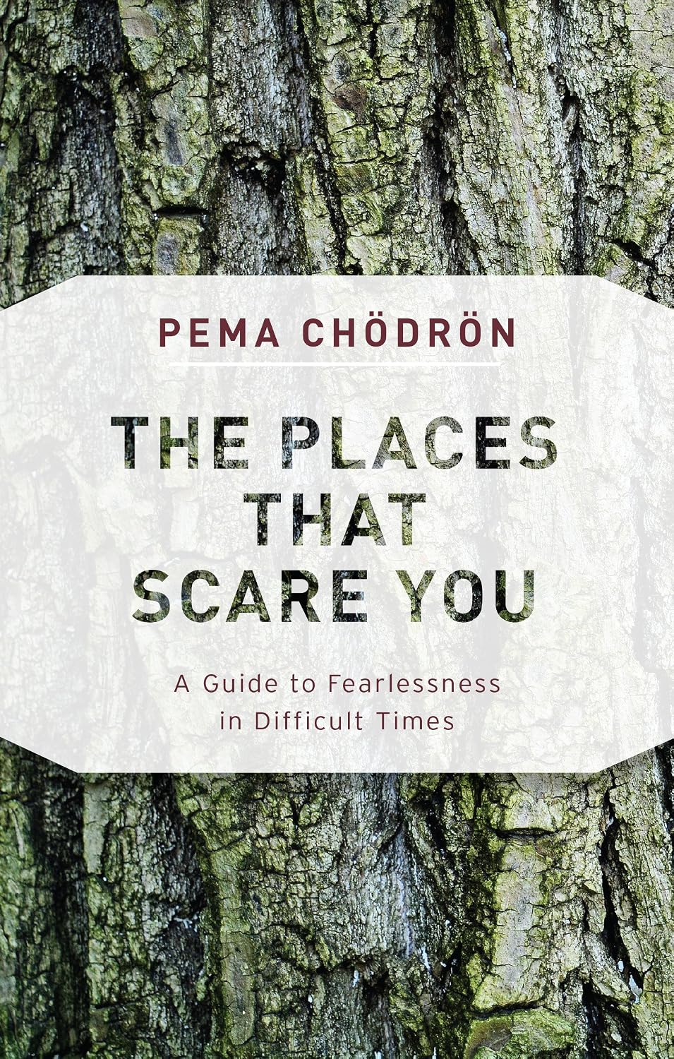 The Places That Scare You: A Guide to Fearlessness in Difficult Times (Shambhala Classics)