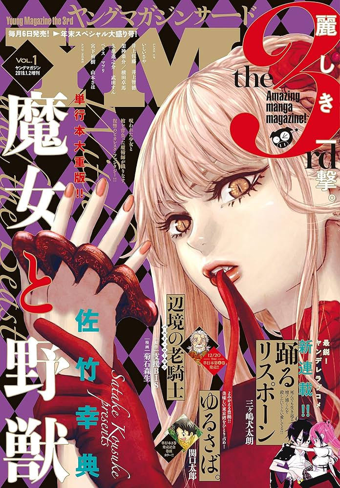 週間ヤングマガジン2019年　1号〜52号　一年分　ヤンマガ 週間ヤングマガジン2019年 1号〜52号 一年分 ヤンマガ 週間ヤング