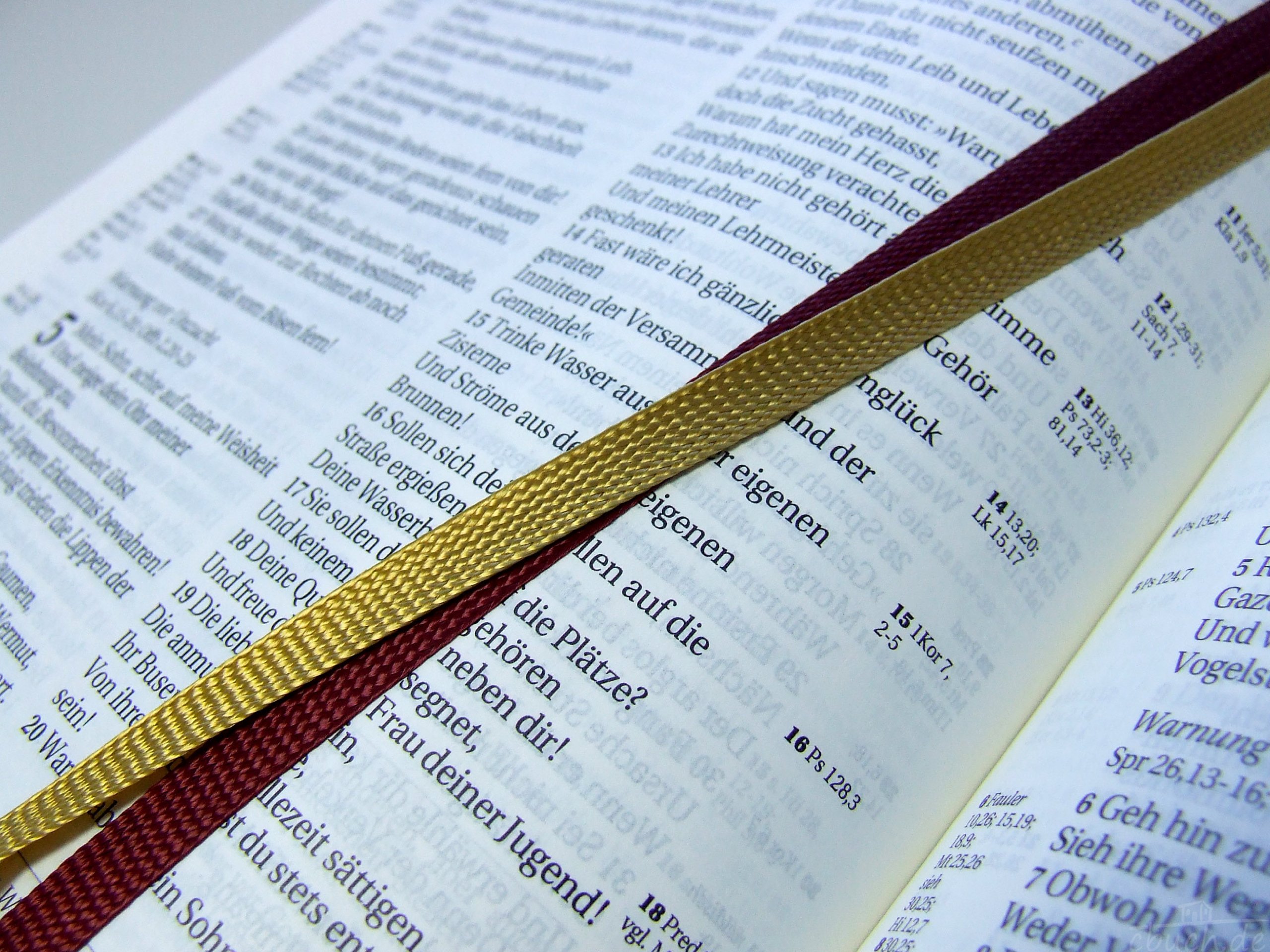 Schlachter 2000 Bibel - Taschenausgabe (Softcover, schwarz, Goldschnitt, Reißverschluss): Taschenausgabe mit Parallelstellen, Kalbsleder-Einband ... / Reißverschluss / Goldschnitt / Fadenheftung