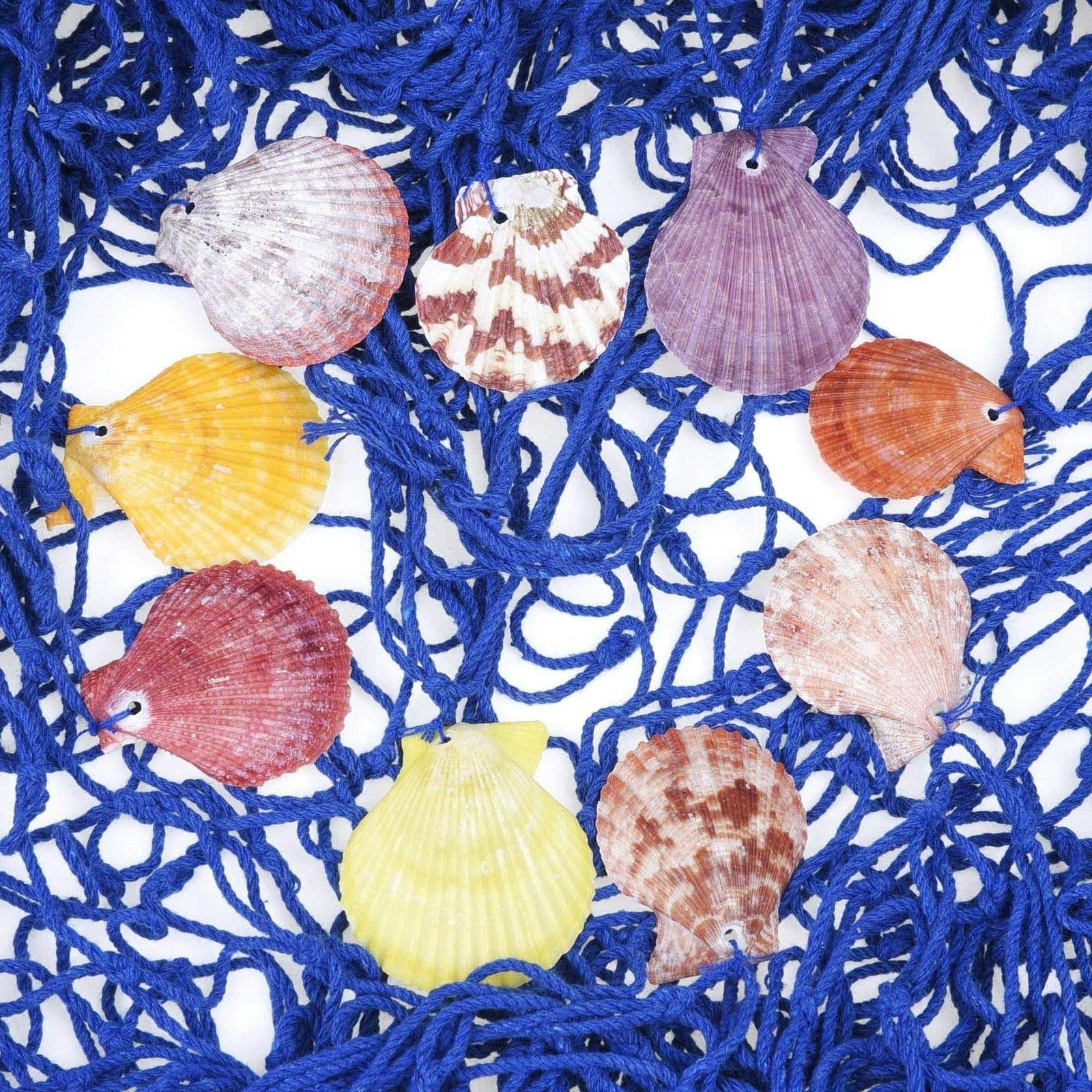 Amazon.com: Decorative Blue Nautical Fish Net with Shells - Seaside Wall  Beach Party Sea Shell Dcor, Authentic Hangings Decor - Perfect Decoration  for Your Home, Restaurant or Boat - (78.5"x59") : Home