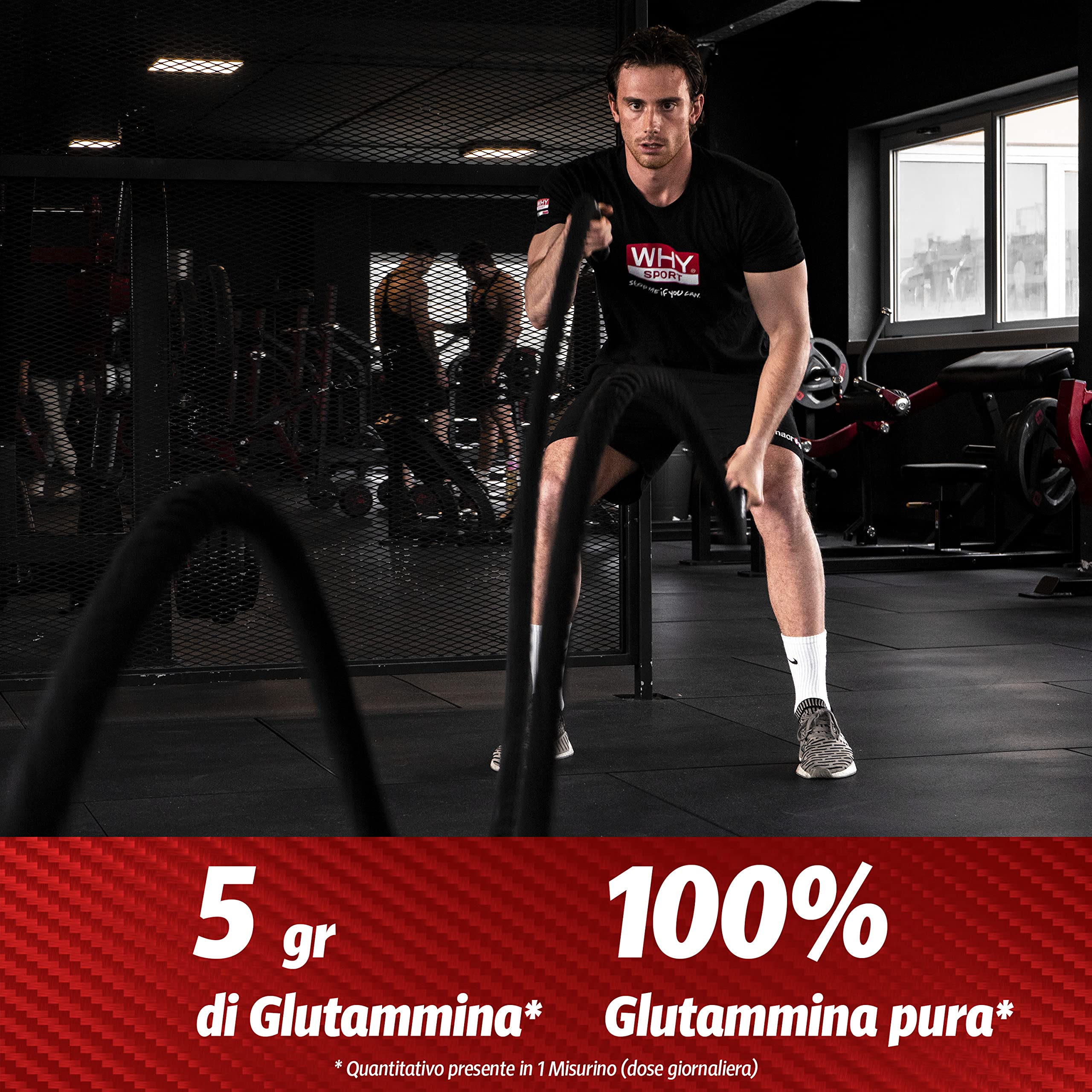 WHY SPORT GLUTAMMINA PURE - Aminoacidi - Integratore Alimentare a Base di L-Glutammina - 250 gr