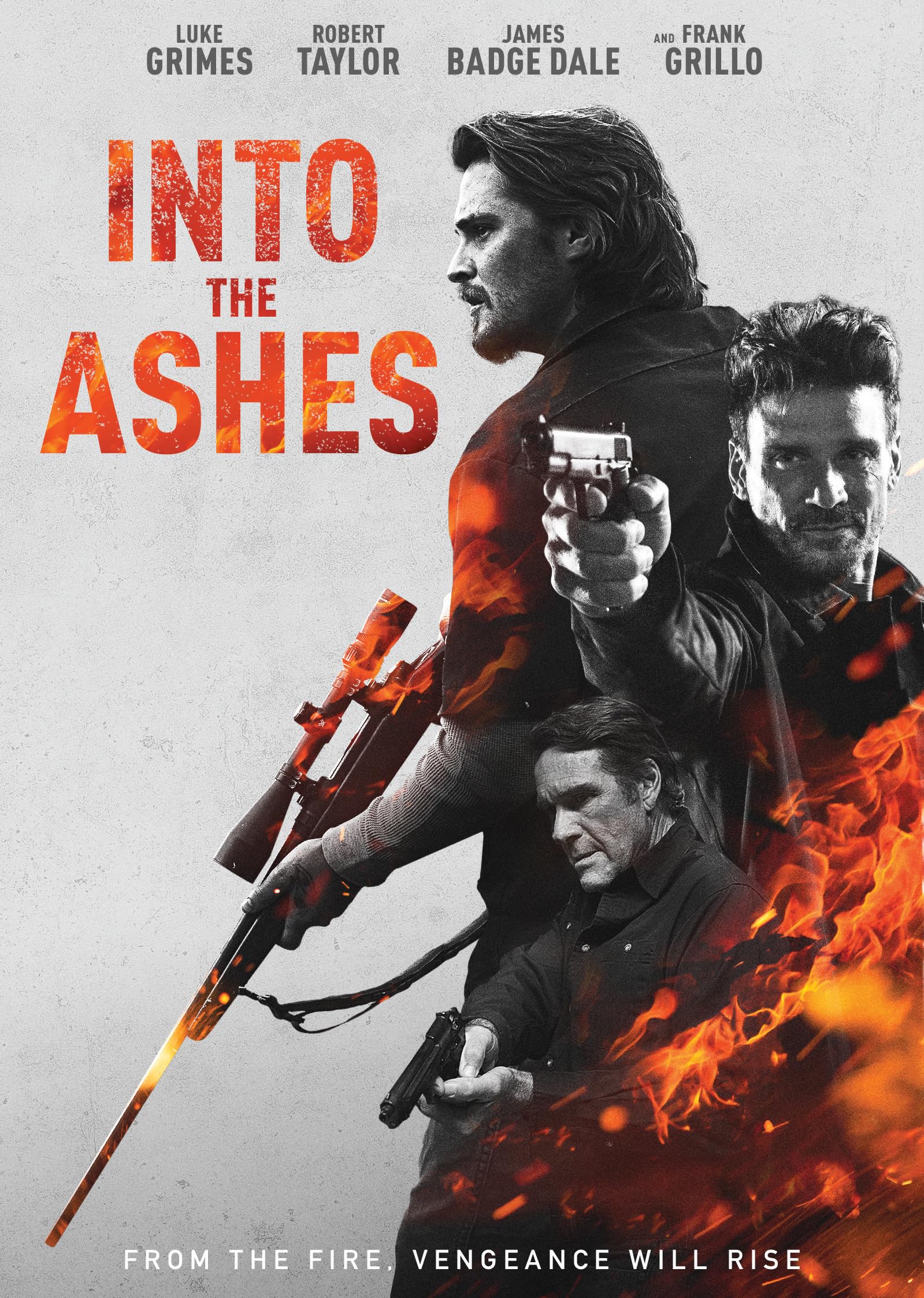 DVD Into the Ashes versión original importada de Estados Unidos para cinéfilos exigentes