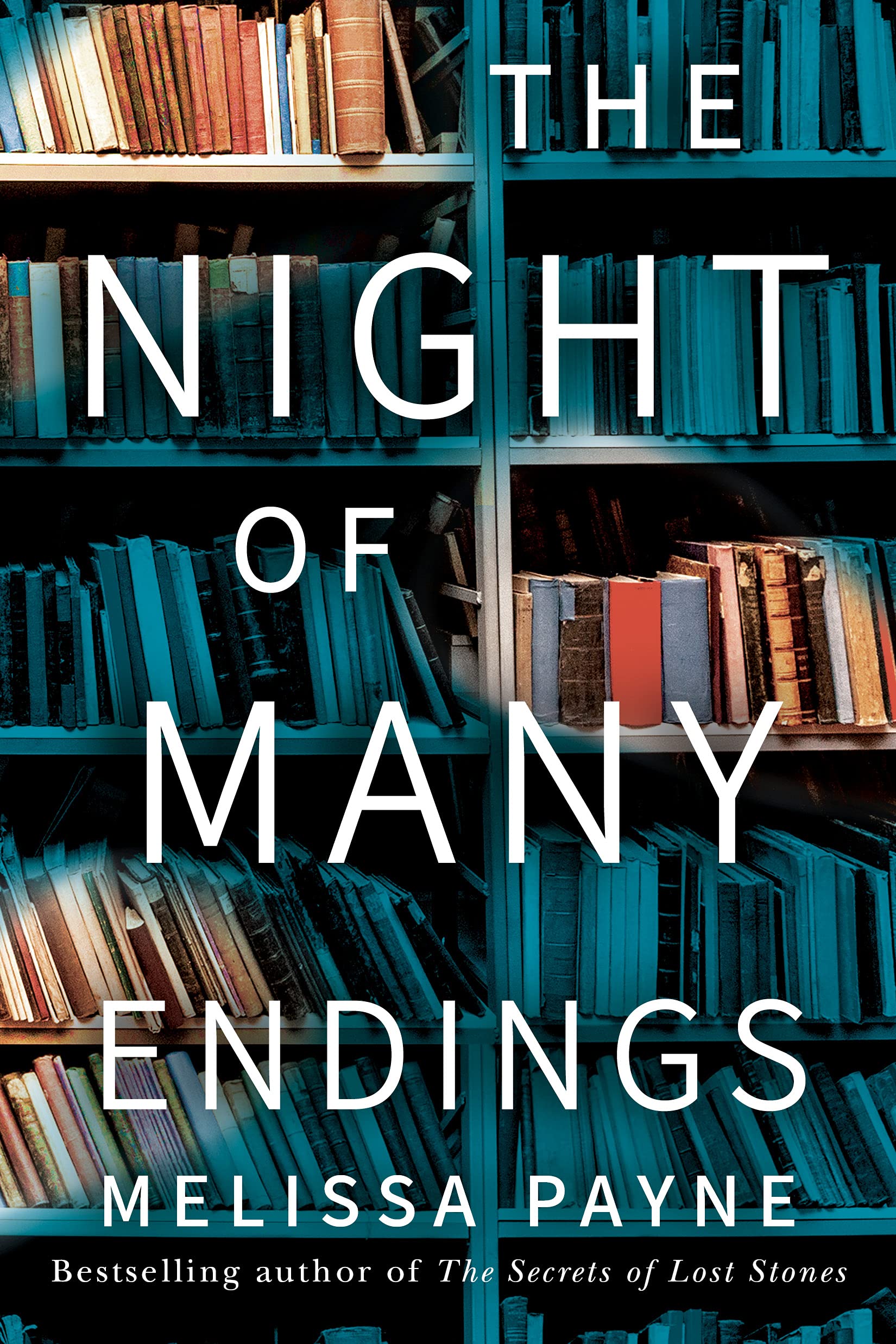 The Night of Many Endings: A Novel