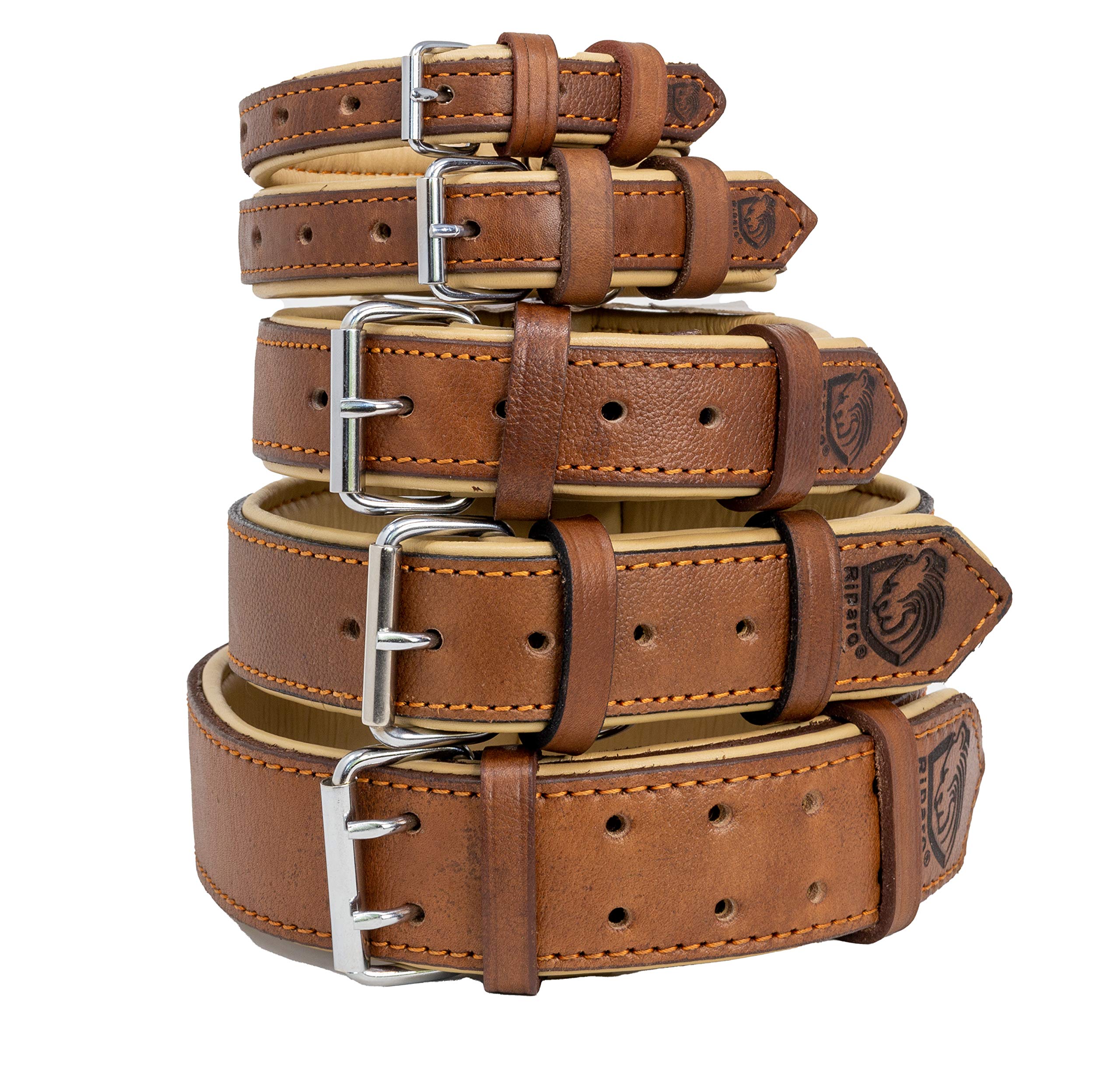 Riparo K-9 Collier pour Chien Robuste rembourré et réglable en Cuir véritable (Fil Noir/Orange, M: 2,5 cm de Large pour 36,8 cm - 44,5 cm de Cou)
