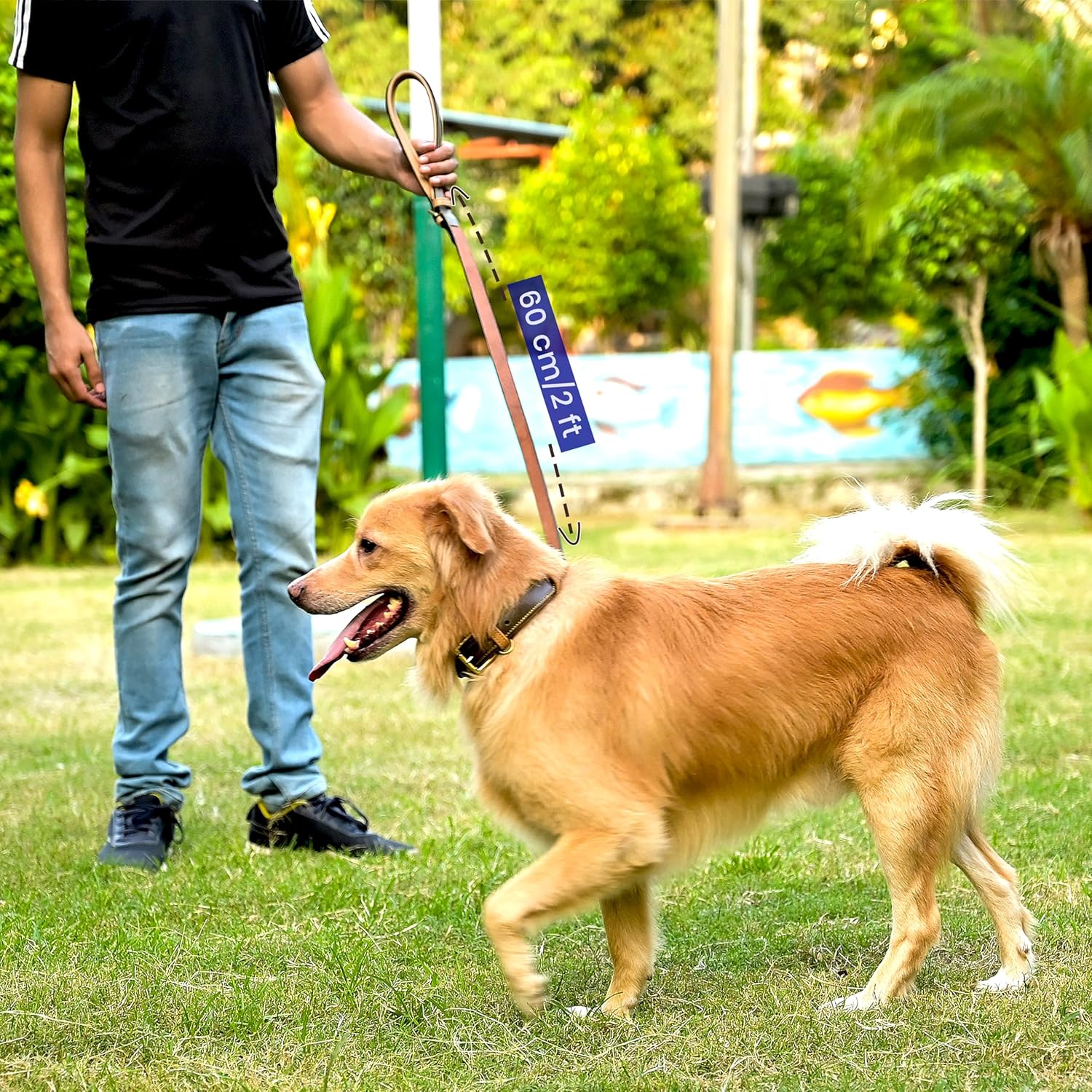 Dog Leash for Outdoor Walking Running Training - Genuine Leather Dog Collar - Soft Comfortable Leather for Small, Medium and Large Dogs