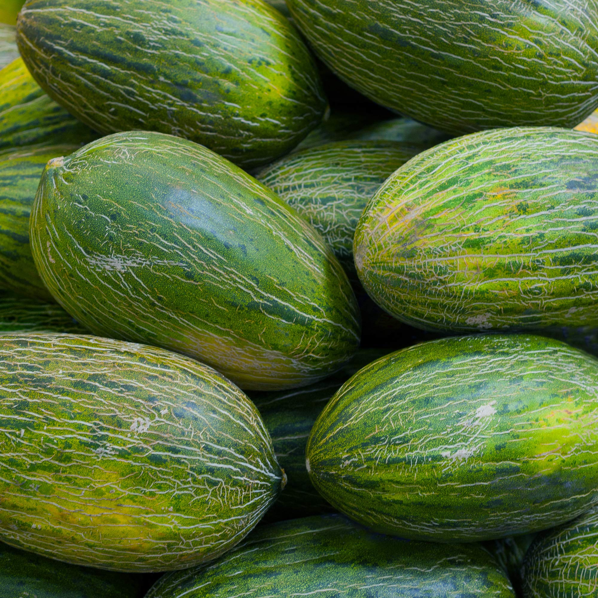 Melona s-l1200.jpg