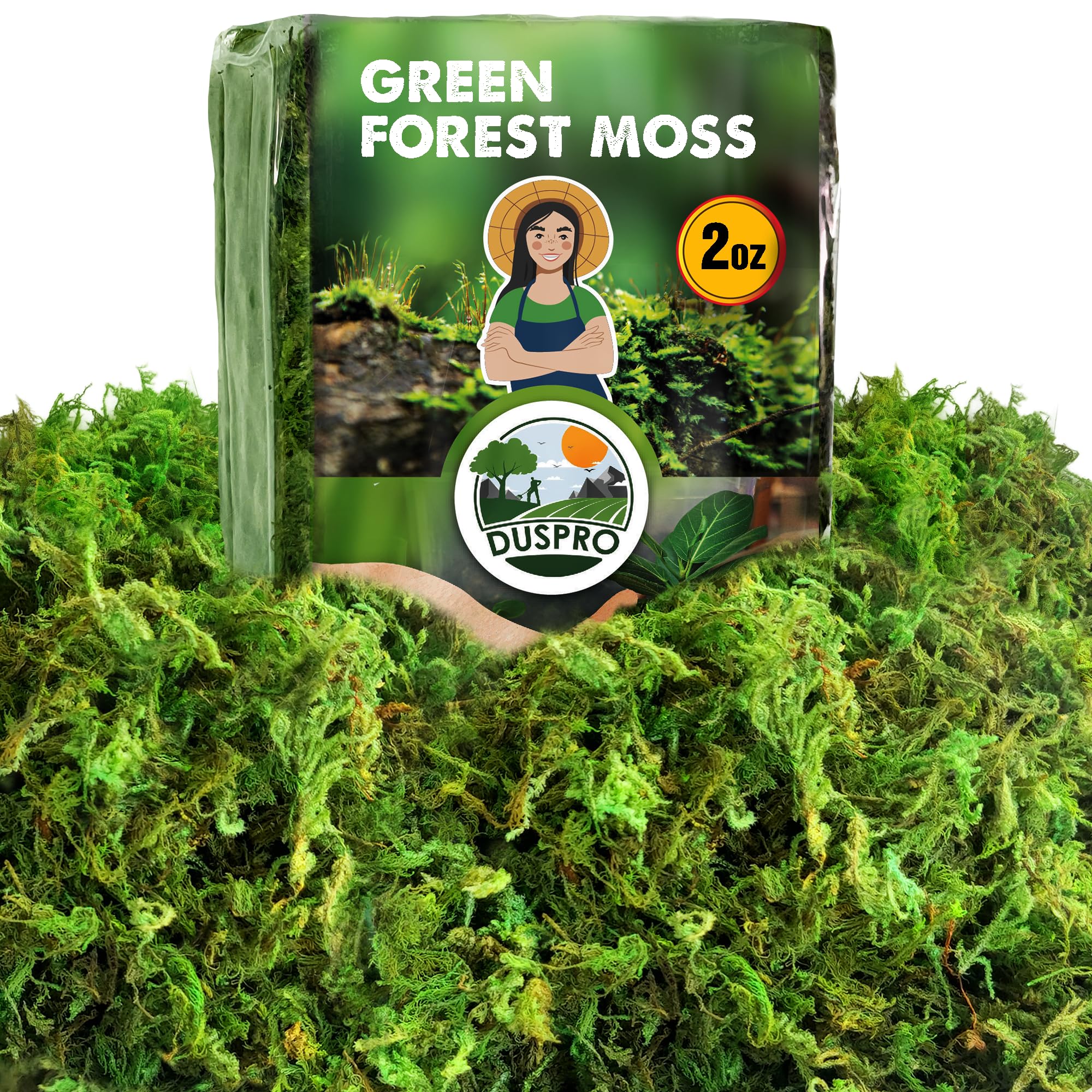 DUSPRO Green Moss for Crafts Decorative Moss Filler for Planters Moss Decor Artificial Table Centerpieces Wedding Christmas Fairy Party Decor, Faux Moss for Indoor Planters, DIY Project, 2 oz