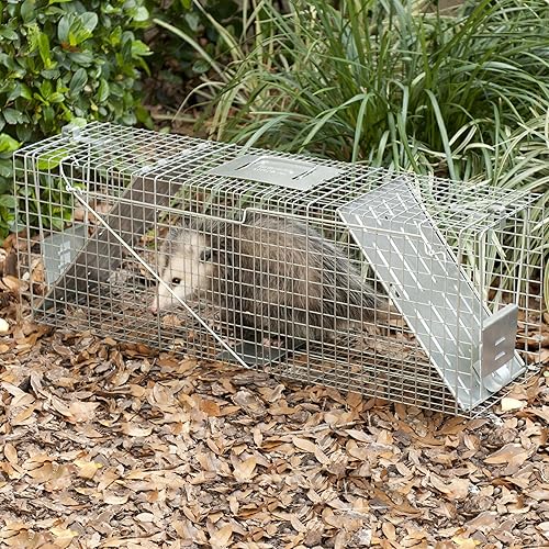 Miniatura 10 de Havahart Large 2 Door Humane Catch and Release Live Animal Trap for Armadillos, Beavers, Bobcats, Small Dogs, Cats, Foxes, Groundhogs, Nutria,