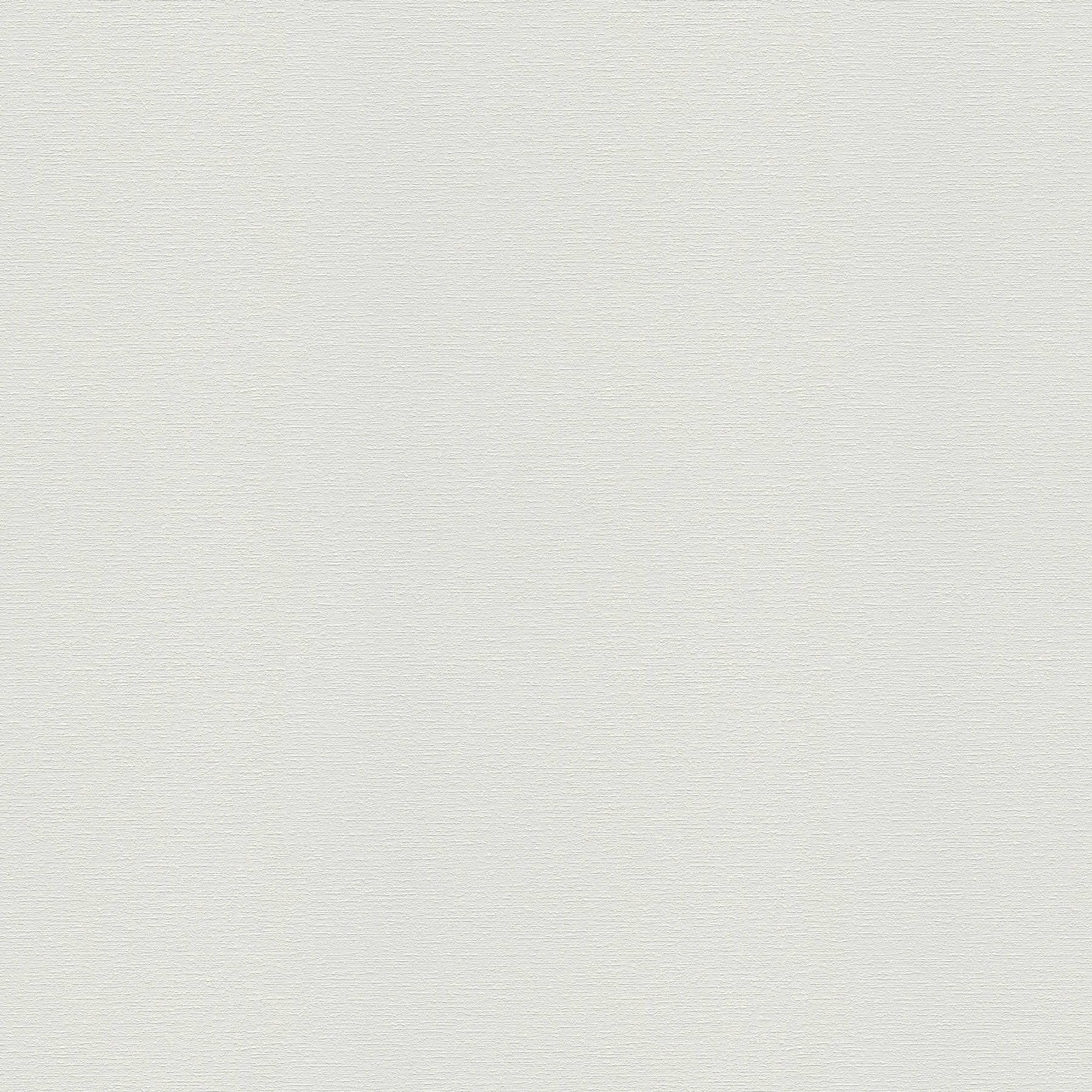A.S. Création Malowana tapeta flizelinowa Meistervlies tapeta 25,00 m x 1,06 m biała Made in Germany 574916 5749-16