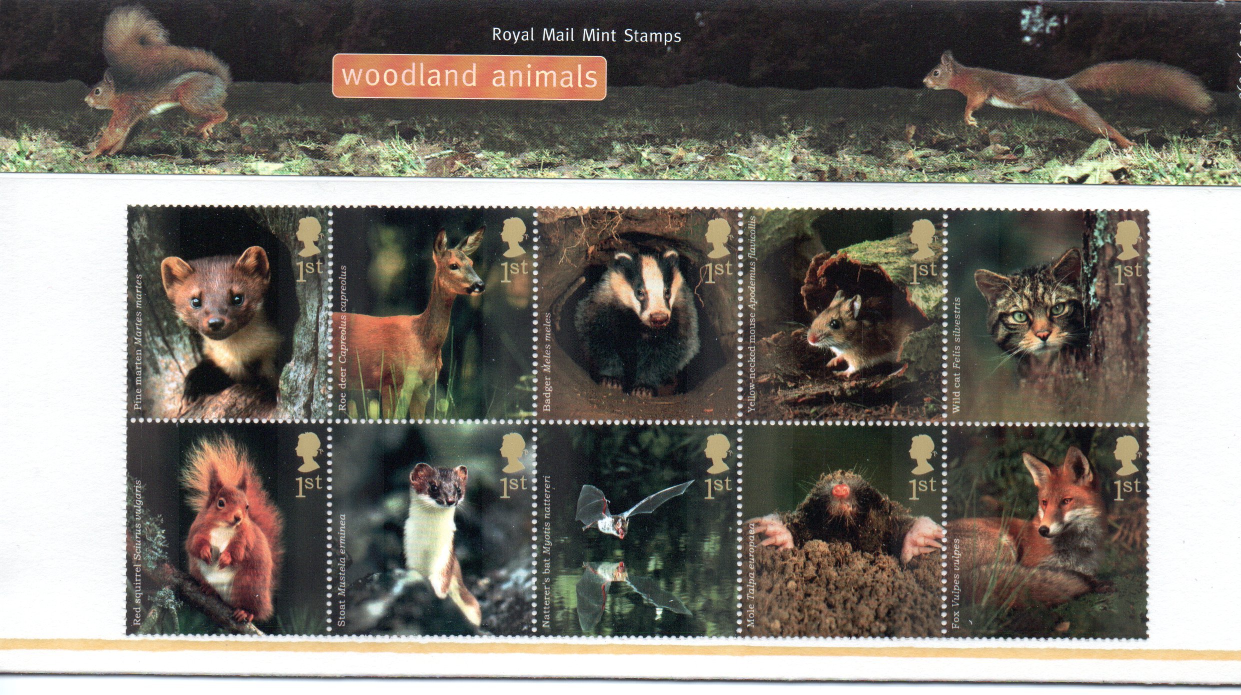 Royal Mail Yellow/Red 2004 Woodland Animals Stamps In Presentation Pack